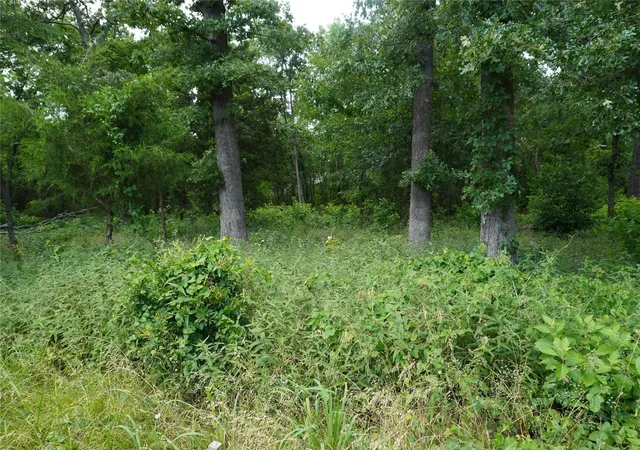 Photo 3 of Land for sale at 1 Acre Nicklaus Dr, Sulphur Springs, TX 75482 | MLS# 21057802 | Listing updated on 2026-10-01