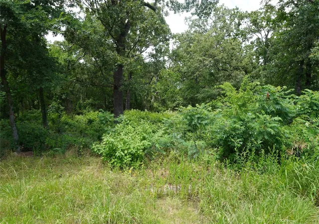 Photo 4 of Land for sale at 1 Acre Nicklaus Dr, Sulphur Springs, TX 75482 | MLS# 21057802 | Listing updated on 2026-10-01