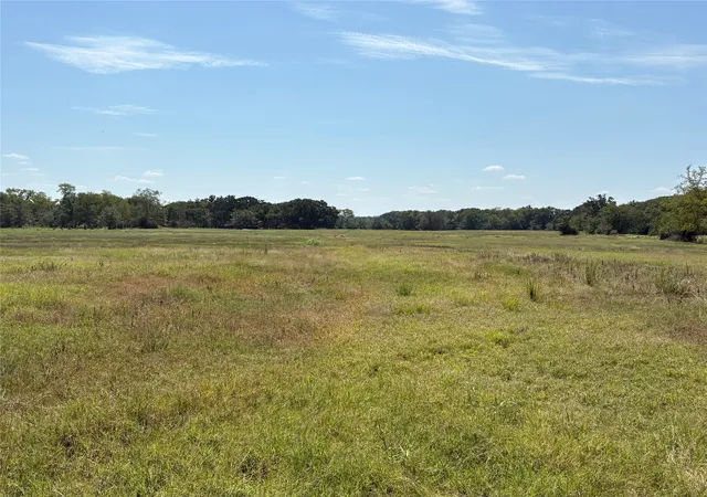 Homes for sale in Brashear, TX | Tbd 1 County Road 1168 #Tract 1, Brashear, TX 75420 | MLS# 21056192