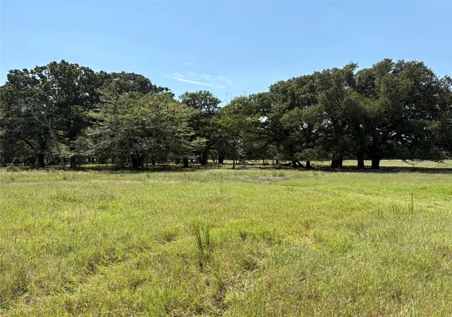Homes for sale in Brashear, TX | Tbd 1 County Road 1168 #Tract 1, Brashear, TX 75420 | MLS# 21056192
