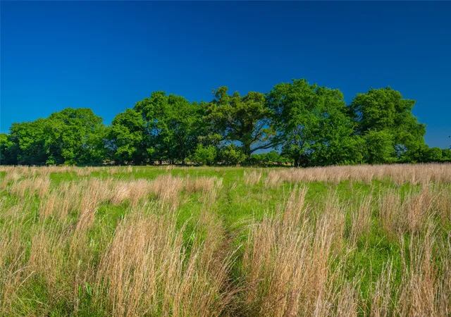 Photo 2 of Land for sale at 0 County Road 2592, Naples, TX 75568 | MLS# 21063181 | Listing updated on 2026-08-22