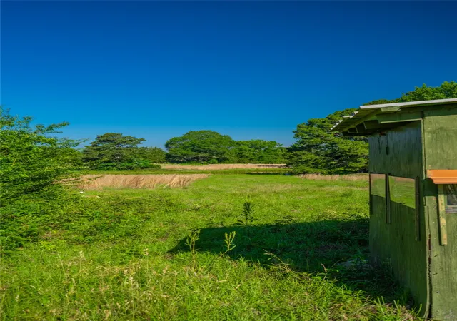 Photo 3 of Land for sale at 0 County Road 2592, Naples, TX 75568 | MLS# 21063181 | Listing updated on 2026-08-22