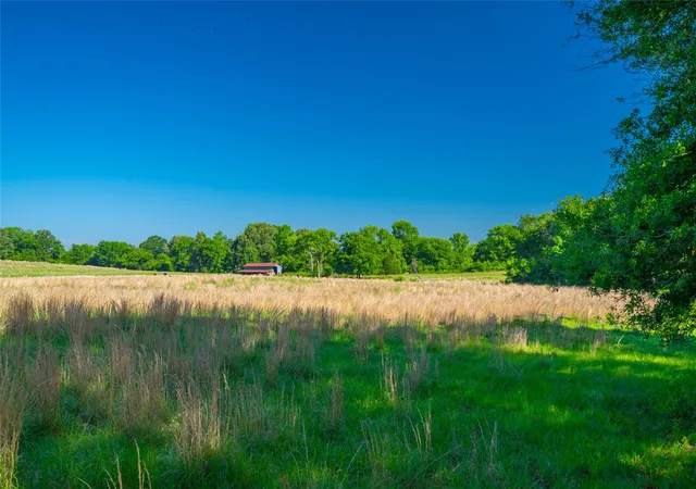 Homes for sale in Marietta, TX | 0 County Road 2592, Marietta, TX 75568 | MLS# 21063181