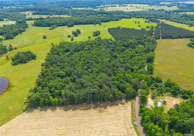 Photo 1 of Land for sale at 4206 Gilliam Ln, Naples, TX 75568 | MLS# 21064156 | Listing updated on 2026-07-17