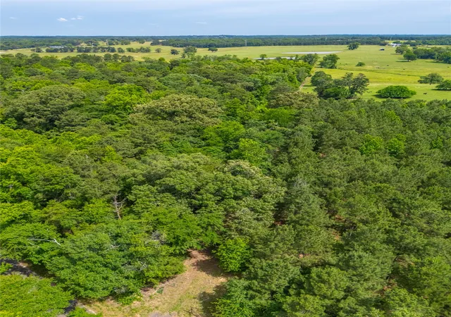 Photo 3 of Land for sale at 4206 Gilliam Ln, Naples, TX 75568 | MLS# 21064156 | Listing updated on 2026-07-17