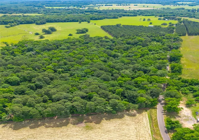 Photo 4 of House for sale at 4206 Gilliam Ln, Naples, TX 75568 | MLS# 21064156 | Listing updated on 2026-07-17