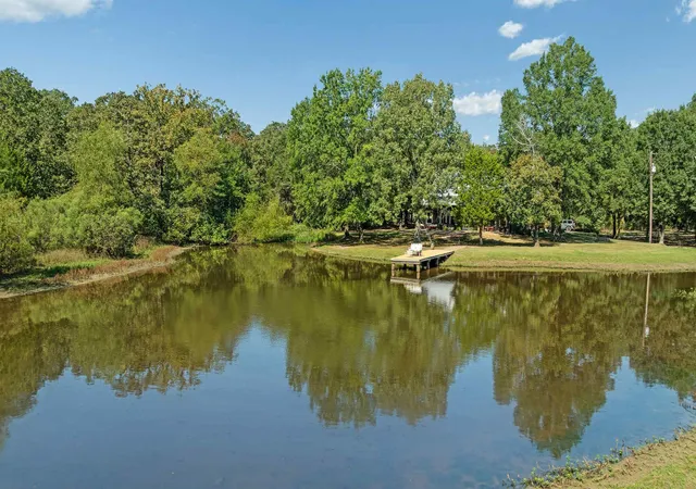 Homes for sale in Blossom, TX | 2205 County Road 44600, Blossom, TX 75416 | MLS# 21064220