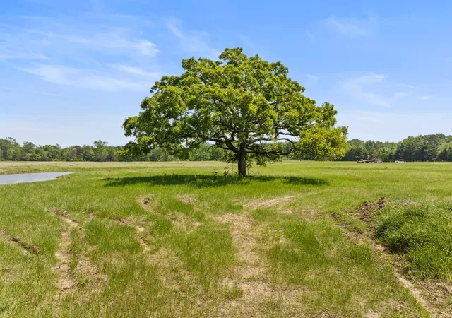 Homes for sale in Pittsburg, TX | Lot A County Road 3324, Pittsburg, TX 75686 | MLS# 21064767