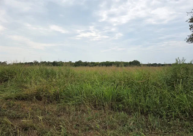 Homes for sale in Honey Grove, TX | Tbd Cr 3615, Honey Grove, TX 75446 | MLS# 21064900