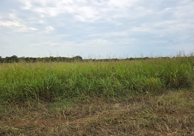 Homes for sale in Honey Grove, TX | Tbd Cr 3615, Honey Grove, TX 75446 | MLS# 21064900