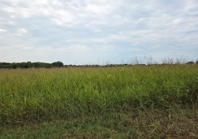 Photo 3 of Land for sale at Tbd Cr 3615, Honey Grove, TX 75446 | MLS# 21064900 | Listing updated on 2026-09-24