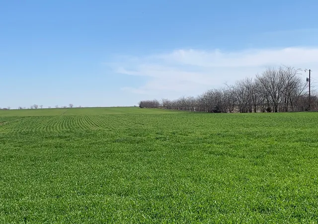 Homes for sale in Collinsville, TX | Tbd Boren Rd, Collinsville, TX 76233 | MLS# 21066320