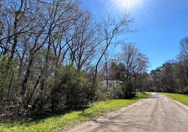Homes for sale in Willis, TX | 0 Royal Crk Rd, Willis, TX 77303 | MLS# 21067248