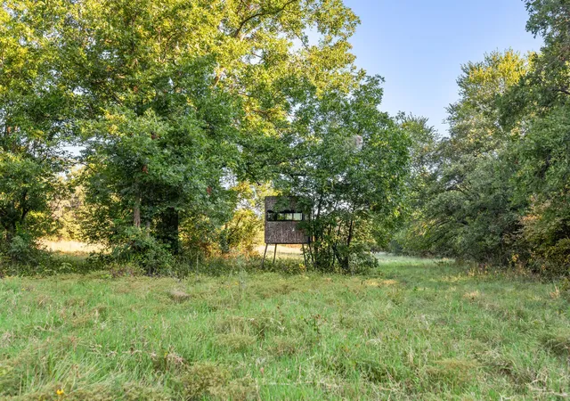 Homes for sale in Saint Jo, TX | 3773 Cottonwood Creek Rd, Saint Jo, TX 76265 | MLS# 21068557