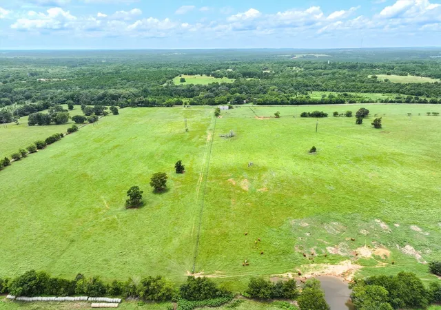 Photo 4 of Land for sale at Tract 6 Fm 855, Jacksonville, TX 75766 | MLS# 21061940 | Listing updated on 2026-08-22