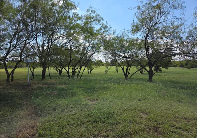Homes for sale in Streetman, TX | Lot 130 Lake Vista Dr, Streetman, TX 75859 | MLS# 21053760