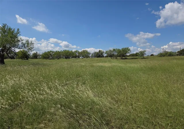 Homes for sale in Streetman, TX | Lot 15 Open Water Way, Streetman, TX 75859 | MLS# 21053773