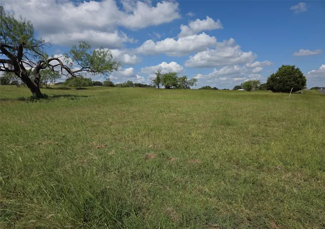 Homes for sale in Streetman, TX | Lot 15 Open Water Way, Streetman, TX 75859 | MLS# 21053773