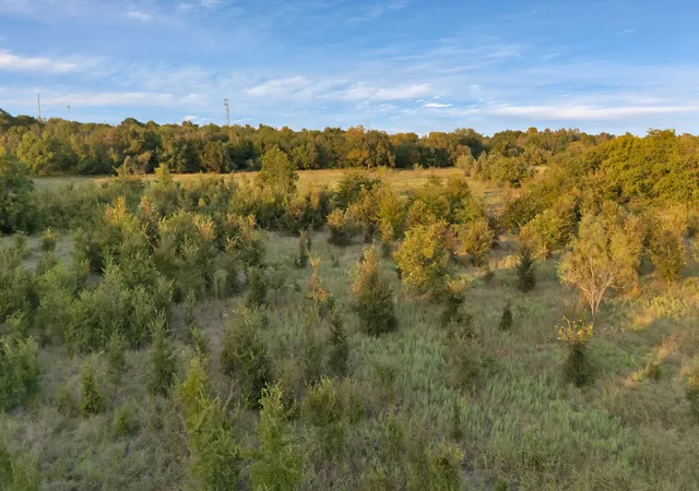 Photo 4 of Land for sale at Tbd 2 Flat Rock Rd, Azle, TX 76020 | MLS# 21070602 | Listing updated on 2026-09-29
