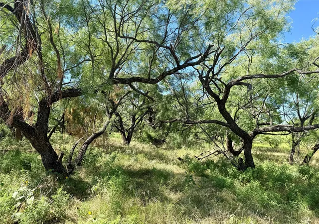 Photo 2 of Land for sale at Tbd County Road 121, Cross Plains, TX 76443 | MLS# 21071877 | Listing updated on 2026-09-17