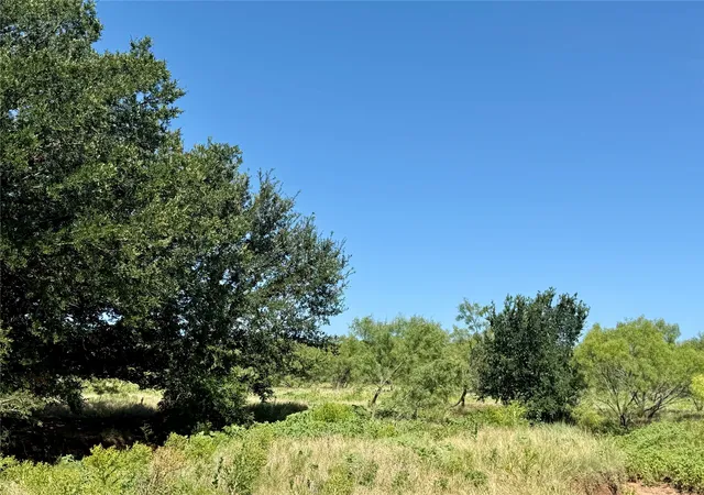 Photo 3 of Land for sale at Tbd County Road 121, Cross Plains, TX 76443 | MLS# 21071877 | Listing updated on 2026-09-17