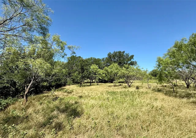 Photo 4 of Land for sale at Tbd County Road 121, Cross Plains, TX 76443 | MLS# 21071877 | Listing updated on 2026-09-17