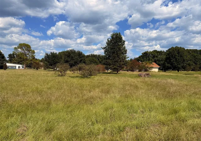 Homes for sale in Trinidad, TX | Tbd Diamond T Ranch Rd, Trinidad, TX 75163 | MLS# 21071500