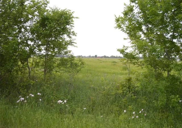 Photo 1 of Land for sale at Tbd Lot 2 Rs County Road 1520, Point, TX 75472 | MLS# 21072600 | Listing updated on 2026-07-27