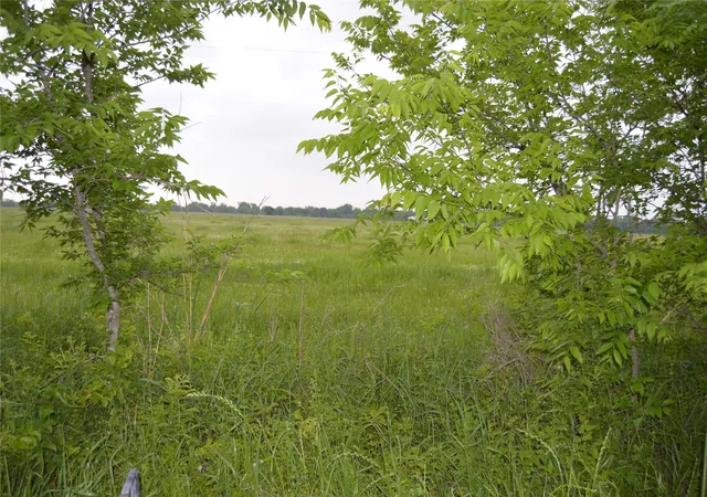 Photo 2 of Land for sale at Tbd Lot 2 Rs County Road 1520, Point, TX 75472 | MLS# 21072600 | Listing updated on 2026-07-27