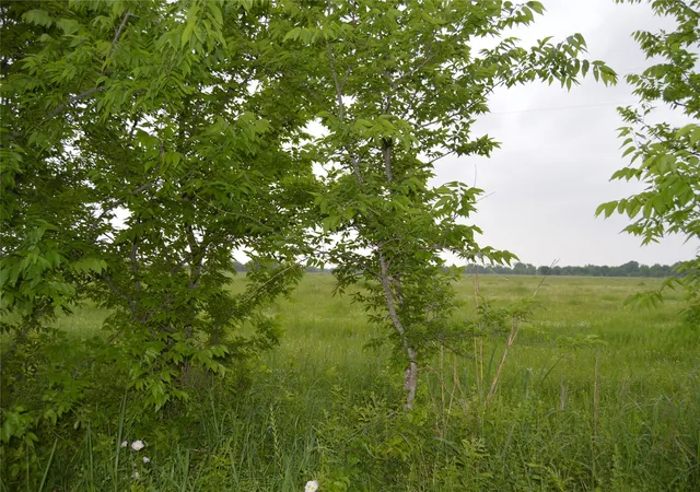 Photo 3 of Land for sale at Tbd Lot 2 Rs County Road 1520, Point, TX 75472 | MLS# 21072600 | Listing updated on 2026-07-27