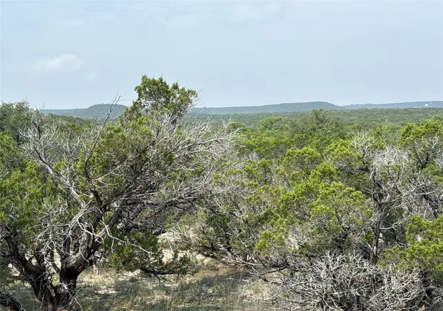 Photo 3 of Sale Pending at Tbd 2010 #Lot 7, Glen Rose, TX 76043 | MLS# 21073480 | Listing updated on 2026-08-22