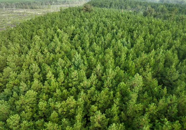 Land for sale at 3 Red Rock Road, Robeline, LA 71469 | MLS# 21073486