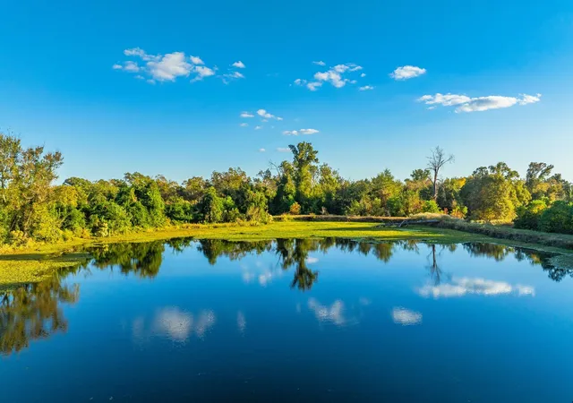 Photo 2 of Land for sale at 00 Cr 3411, Chandler, TX 75758 | MLS# 21073900 | Listing updated on 2026-08-22