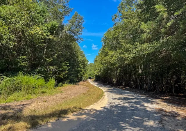 Photo 2 of Land for sale at T-4 State Road 3205, Oberlin, LA 71463 | MLS# 21074204 | Listing updated on 2026-07-17