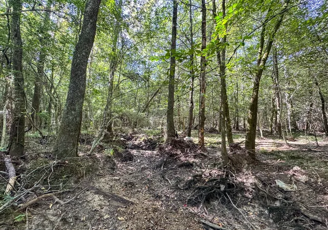 Photo 3 of Land for sale at T-4 State Road 3205, Oberlin, LA 71463 | MLS# 21074204 | Listing updated on 2026-07-17