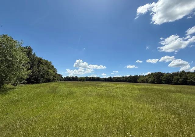 Photo 1 of Land for sale at 00 Cr 1670, Mt Pleasant, TX 75455 | MLS# 21074736 | Listing updated on 2026-08-22
