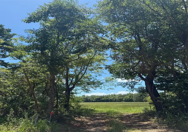 Photo 3 of Land for sale at 00 Cr 1670, Mt Pleasant, TX 75455 | MLS# 21074736 | Listing updated on 2026-08-22