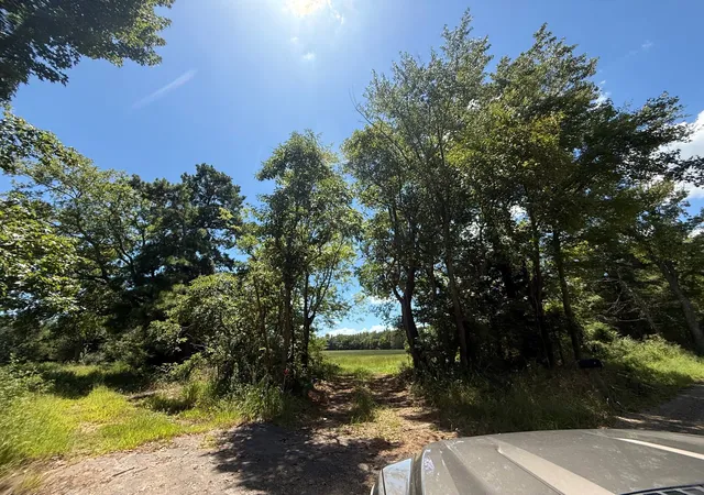 Photo 4 of Land for sale at 00 Cr 1670, Mt Pleasant, TX 75455 | MLS# 21074736 | Listing updated on 2026-08-22