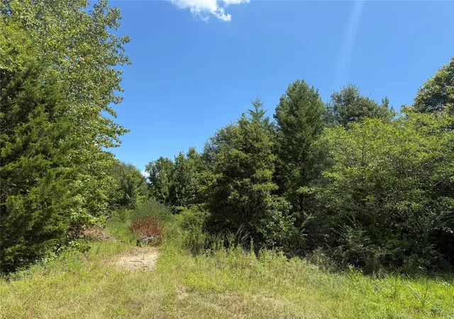 Photo 3 of Land for sale at Tbd Cr 1662, Mount Pleasant, TX 75455 | MLS# 21074753 | Listing updated on 2026-08-22