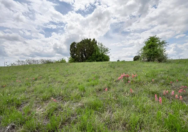 Homes for sale in Dublin, TX | Tbd Ava Grace Ln, Dublin, TX 76446 | MLS# 21075791