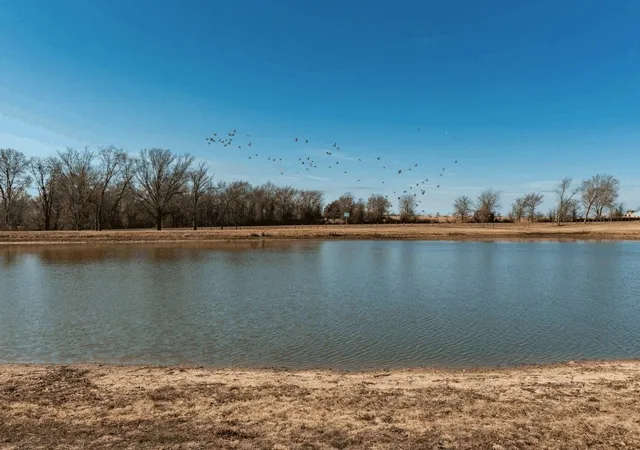 Homes for sale in Brashear, TX | Texas Hwy 19 S, Brashear, TX 75420 | MLS# 21071947
