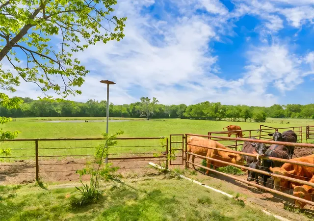 Photo 4 of Single family home for sale at 5167 Rock Hill Rd, Aubrey, TX 76227 | MLS# 21074228 | Listing updated on 2026-08-31