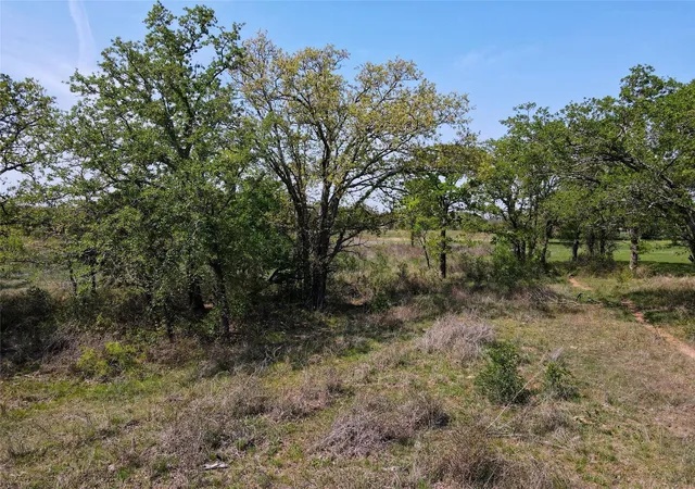 Photo 3 of Land for sale at Lot 47 Paradise Oaks Ranch, Perrin, TX 76487 | MLS# 21076757 | Listing updated on 2026-08-31