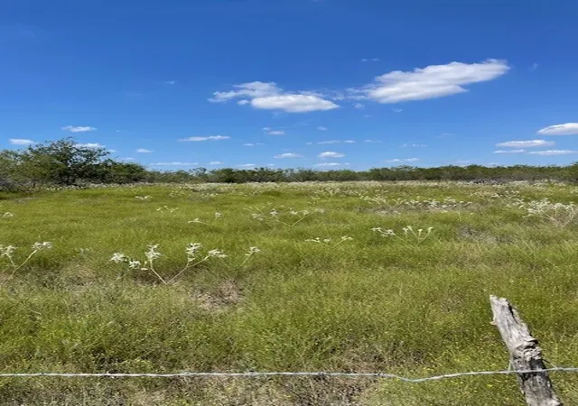 Homes for sale in Hubbard, TX | Tbd County Road 3241, Hubbard, TX 76648 | MLS# 21077483