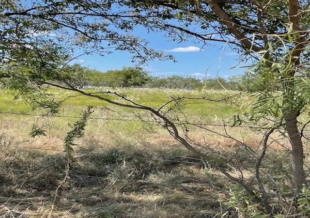 Homes for sale in Hubbard, TX | Tbd County Road 3241, Hubbard, TX 76648 | MLS# 21077483