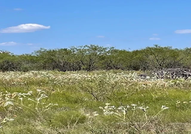 Homes for sale in Hubbard, TX | Tbd County Road 3241, Hubbard, TX 76648 | MLS# 21077483