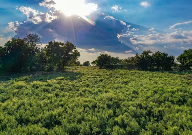 Photo 1 of Land for sale at 9997 Acres S 281 Hwy, Perrin, TX 76486 | MLS# 21075453 | Listing updated on 2026-08-22