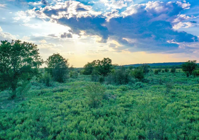 Photo 3 of Land for sale at 9997 Acres S 281 Hwy, Perrin, TX 76486 | MLS# 21075453 | Listing updated on 2026-08-22
