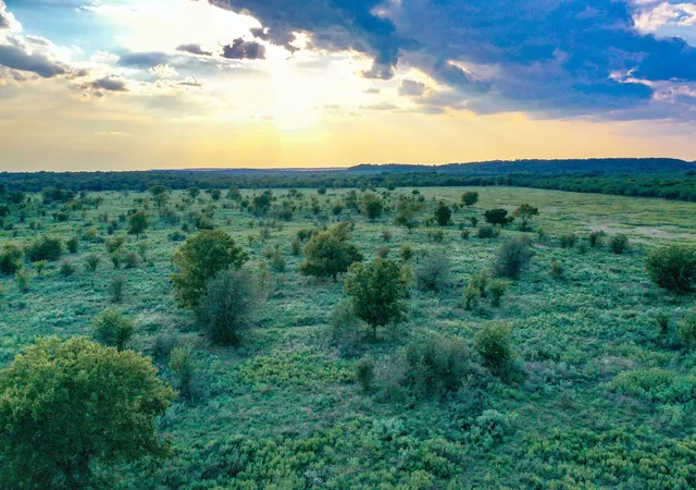 Photo 3 of Land for sale at 9997 Acres S 281 Hwy, Perrin, TX 76486 | MLS# 21075453 | Listing updated on 2026-08-22