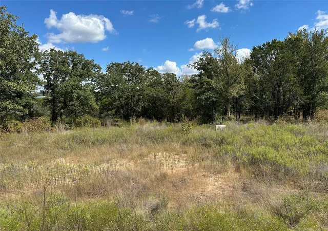 Photo 3 of Land for sale at 1020 Rose Ct, Nemo, TX 76070 | MLS# 21078065 | Listing updated on 2026-08-22